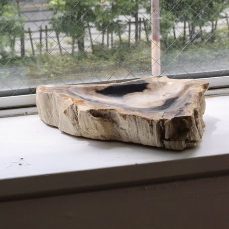 " OAK ” Petrified Wood Accessory Tray - M #415