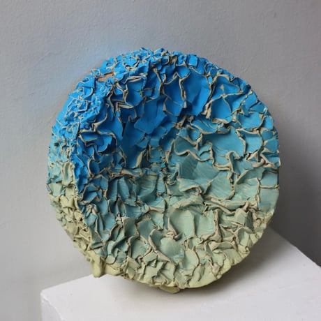 " Ryota Akiyama " Crack and Shrink