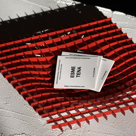 "Fundamental Berlin" Gravity - tray -  RED