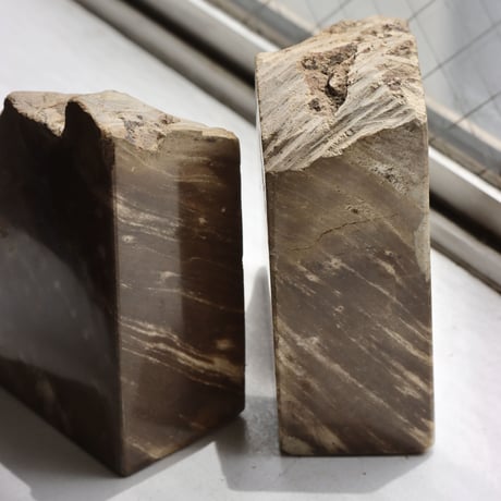 " OAK ” Petrified Wood Bookend - S #001