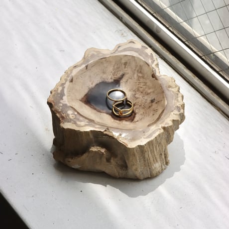 " OAK ” Petrified Wood Accessory Tray -  S #434