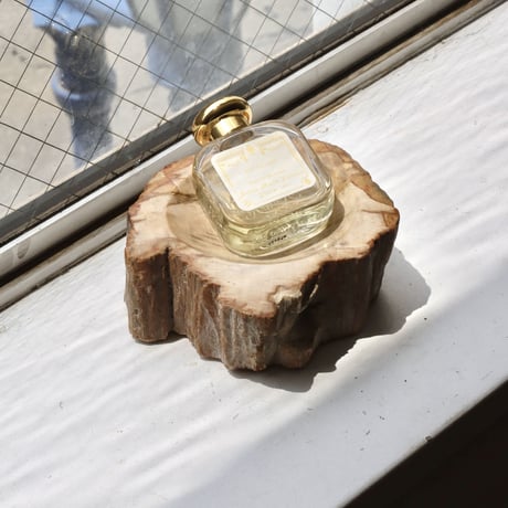 " OAK ” Petrified Wood Accessory Tray - S #421