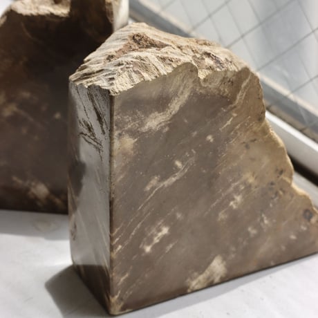 " OAK ” Petrified Wood Bookend - S #001