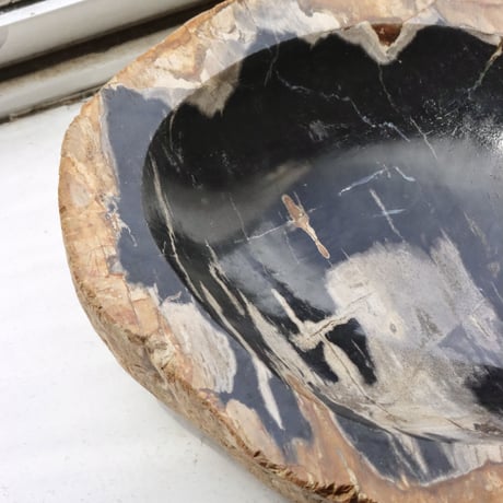 " OAK ” Petrified Wood Accessory Tray - M #401