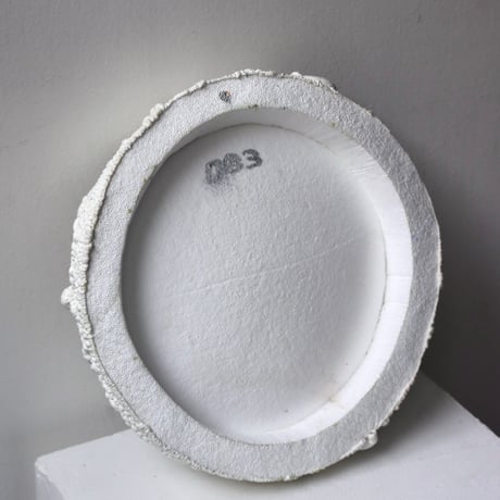 " Ryota Akiyama " Crack and Shrink