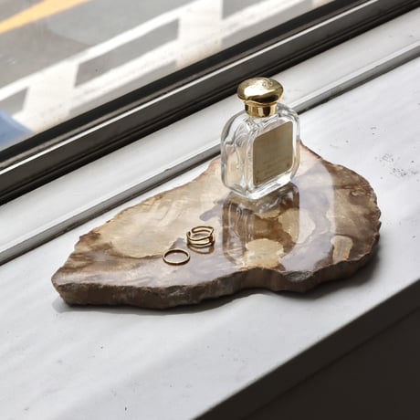" OAK ” Petrified Wood Plate - S