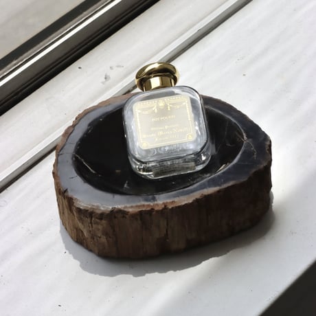 " OAK ” Petrified Wood Accessory Tray - S #440