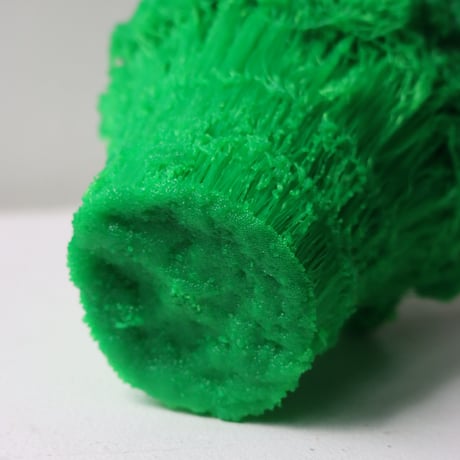 "Tact Inoue" Polybroccoli - M -  225g