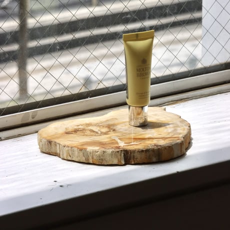 " OAK ” Petrified Wood Plate - S