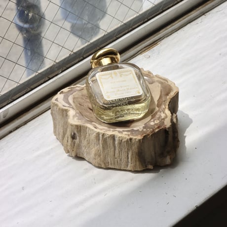 " OAK ” Petrified Wood Accessory Tray -  S #434