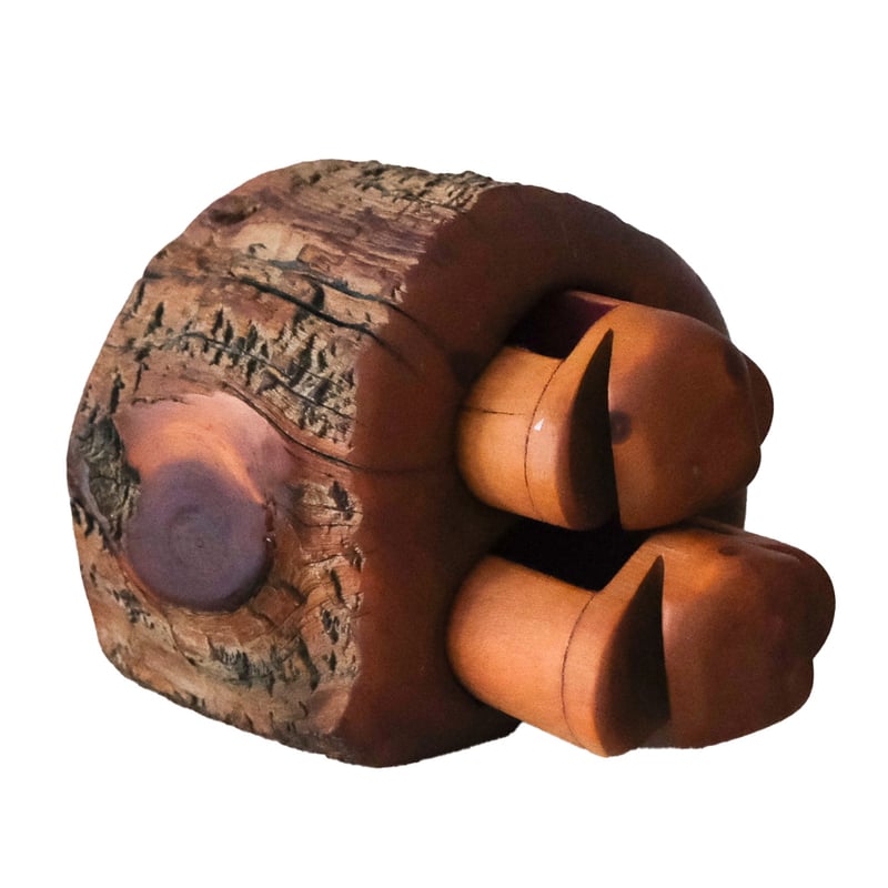 【希少】BRISTLECONE PINE COMPANY ジュエリーボックス Bristle Cone Pine Product Line