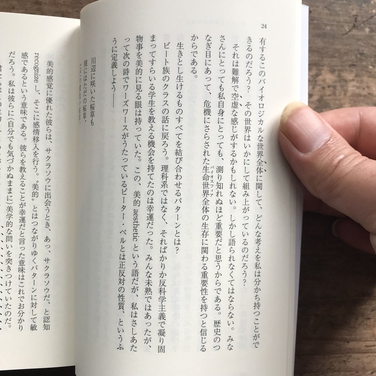 精神と自然　普及版　(希少品) 精神と自然 改訂版 普及版: 生きた世界の認識論 | グレゴリー