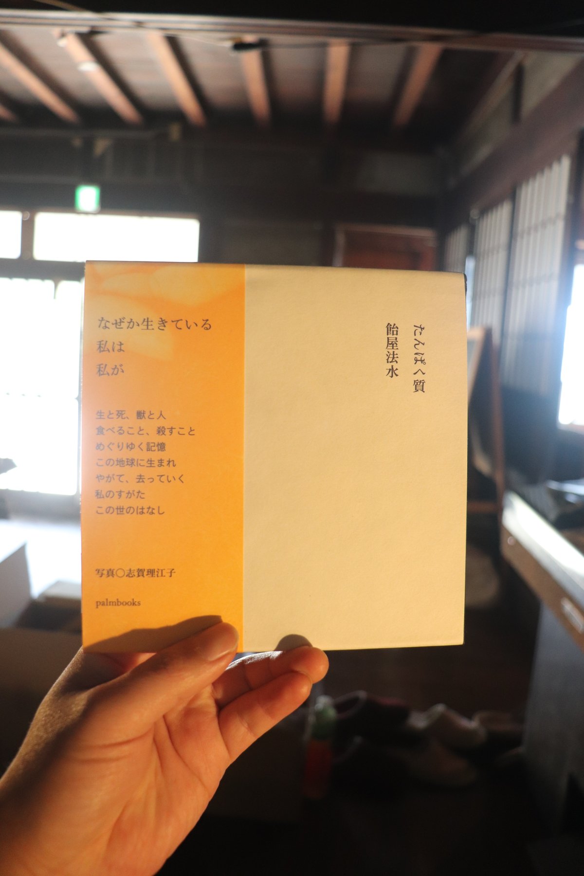 norimizu ameya I love body style 本 飴屋法水 norimizu ameya I love body style 本 飴屋法水 【公式通販】