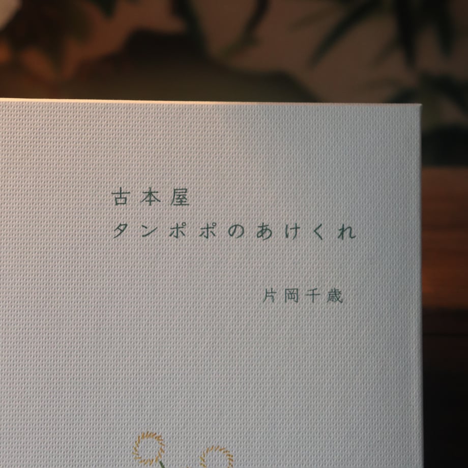 68340eb43c52b72e6a1eca5f