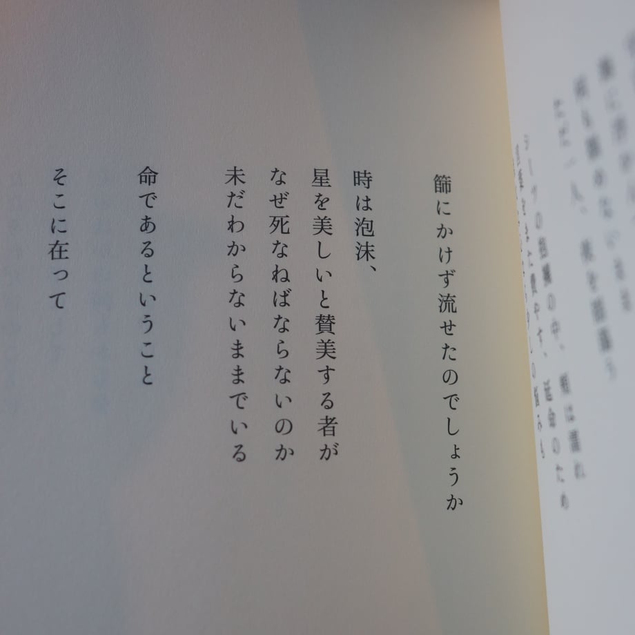 67bad566c56f4813f7b3d894