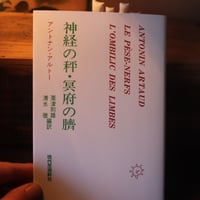 叢書・ウニベルシタス 生の肯定―ニーチェによるニヒリズムの克服 | 庭