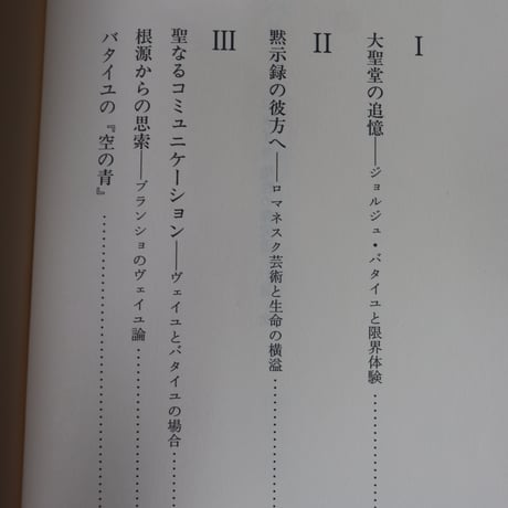 バタイユ 聖性の探究者／酒井健