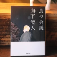 鳥の会議／山下澄人