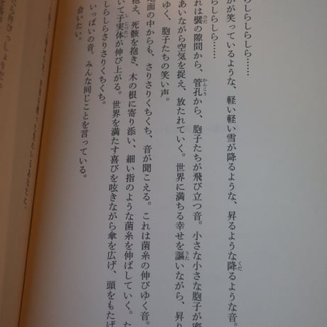 わたしは孤独な星のように／ 池澤 春菜