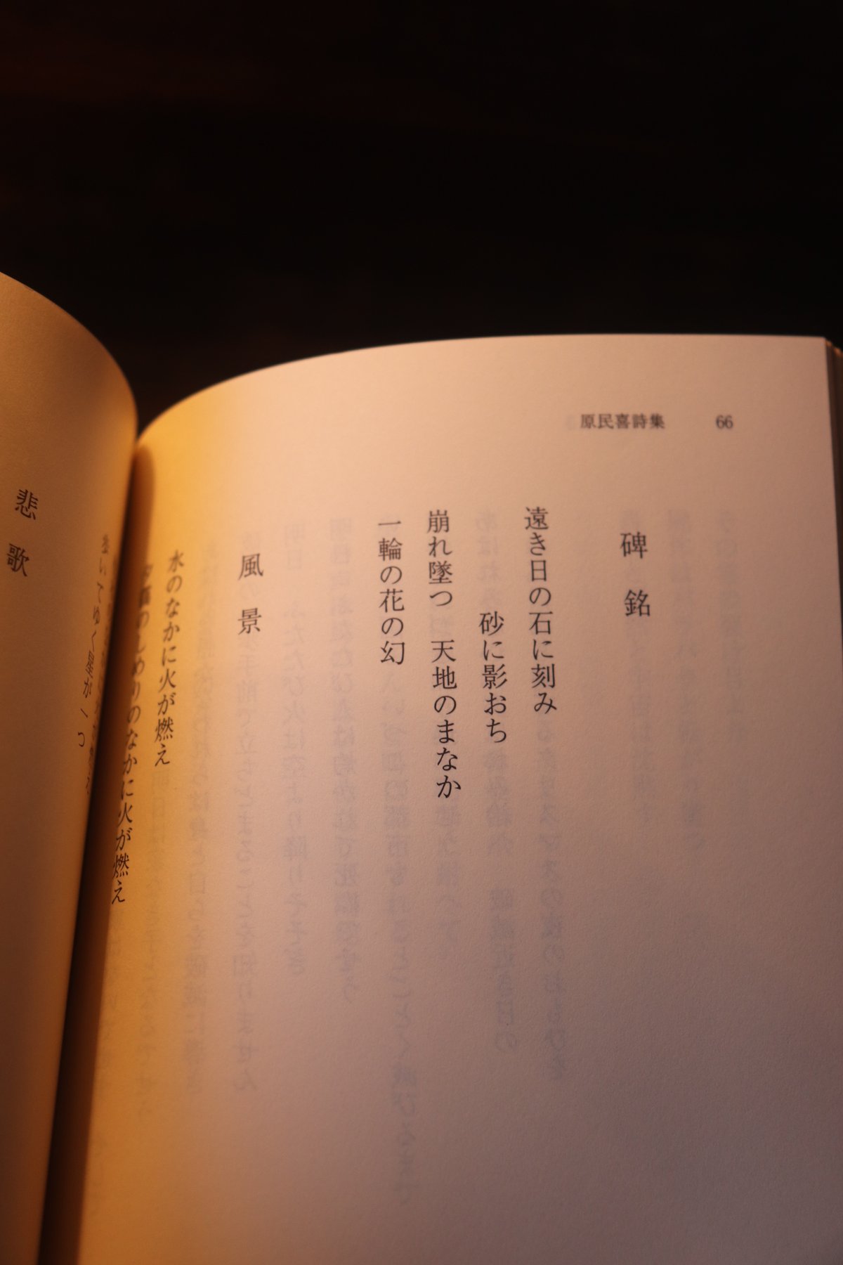 昭和27年 原民喜詩集 限定500部 古書 ある時刻・小さな庭・原爆小景・長光太 91WK-7sSEzL._UF350,350_QL50_.jpg