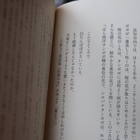 古本屋 タンポポのあけくれ／片岡千歳