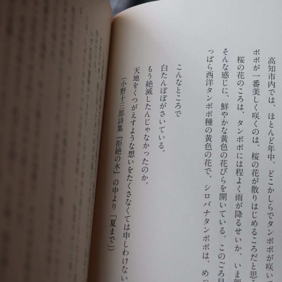 68340eb43c52b72e6a1eca5f