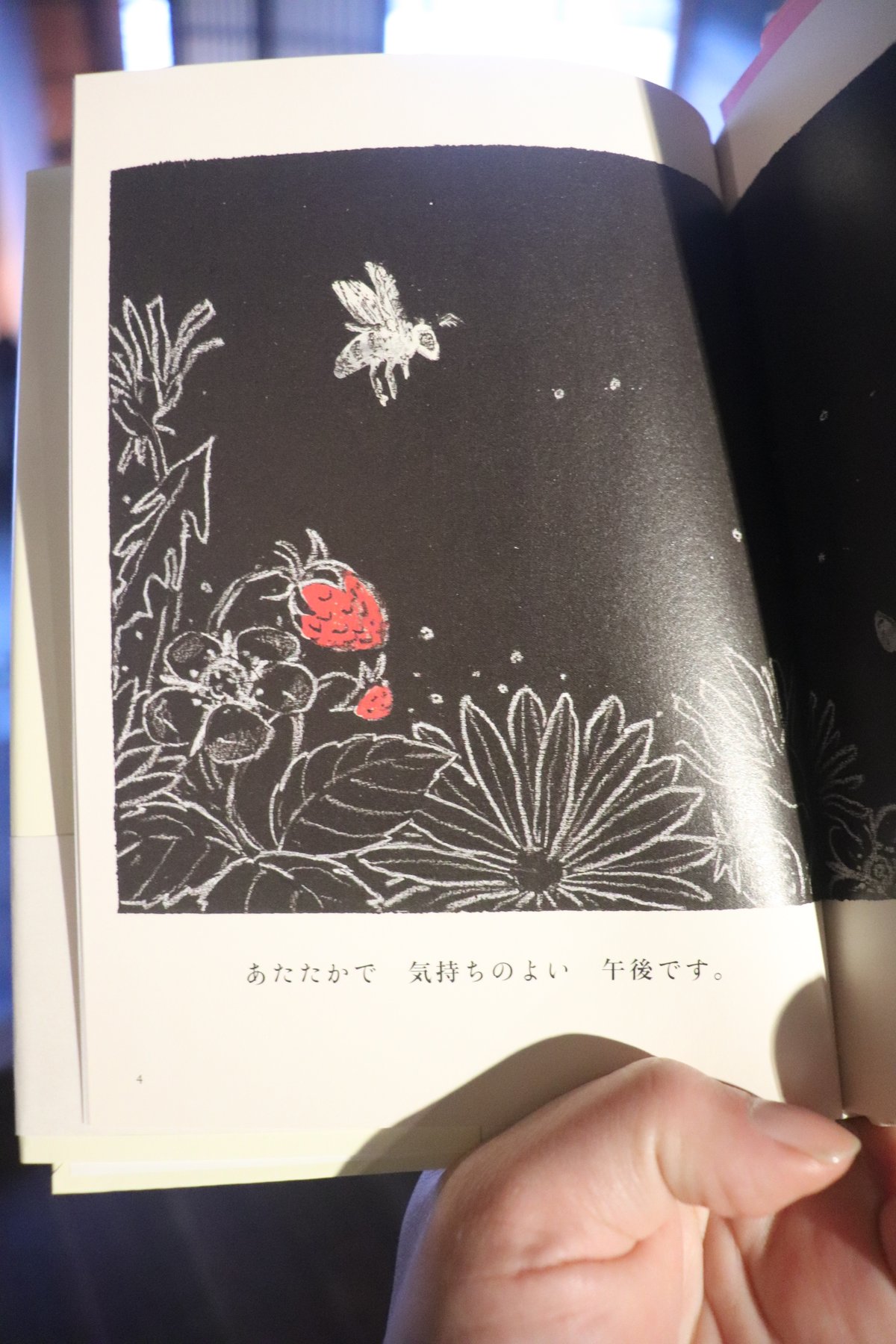 金曜日の砂糖ちゃん (Luna Park Books)／酒井駒子 | 庭文庫 WEBSHOP
