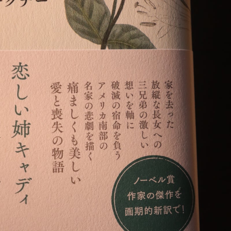 響きと怒り ／ ウィリアム・フォークナー 著 桐山 大介 訳 | 庭文庫