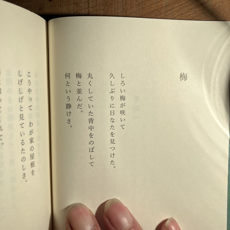 梅沢　一栖　うめざわいっせい　俳句 梅沢 一栖 うめざわいっせい 俳句