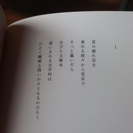 文藝誌「灑」