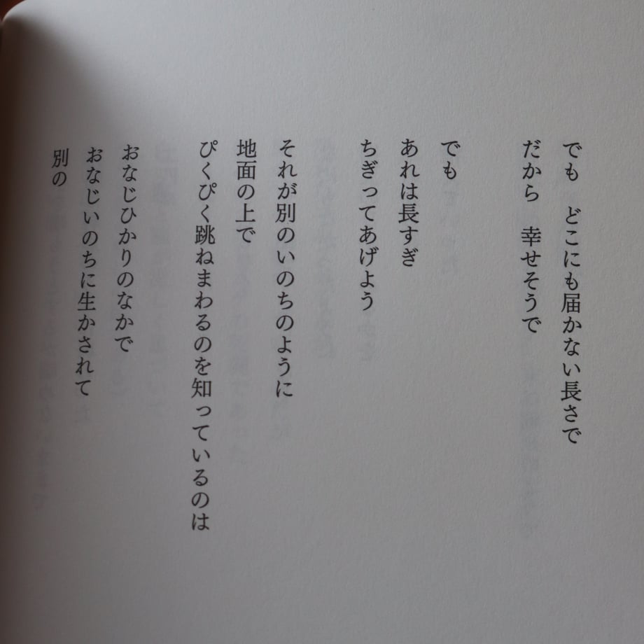 66c40035f30db2002c542417