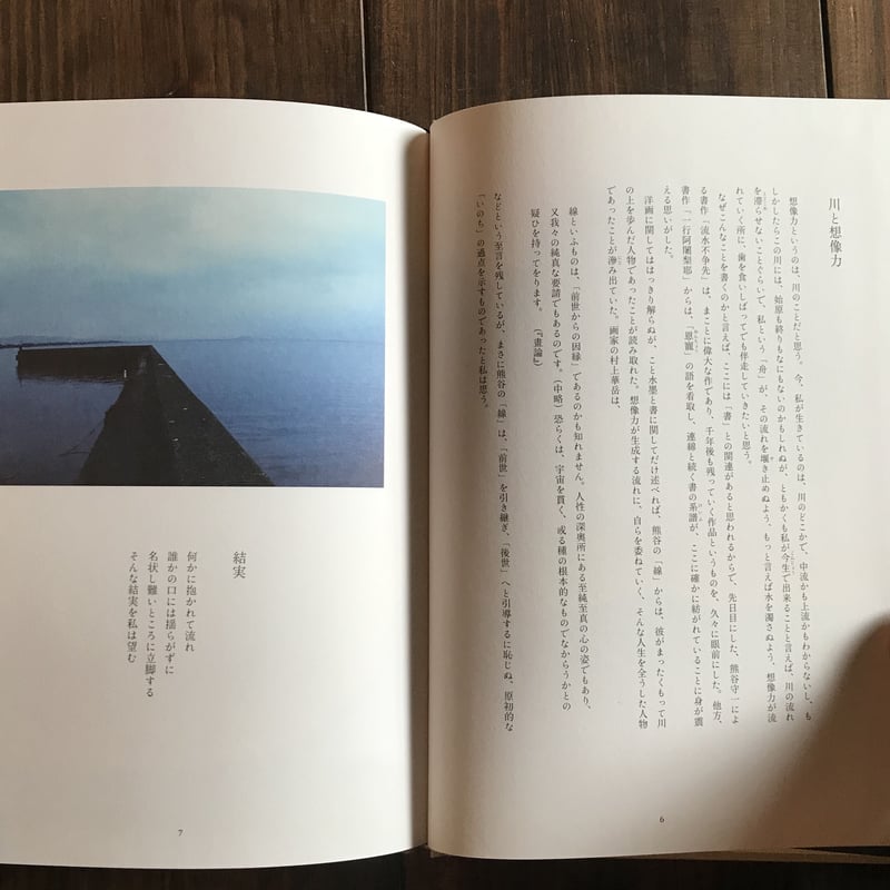 イマジネーションの生態学 : 子ども時代の自然との詩的交感 イマジネ-ションの生態学: 子ども時代の自然との詩的交感