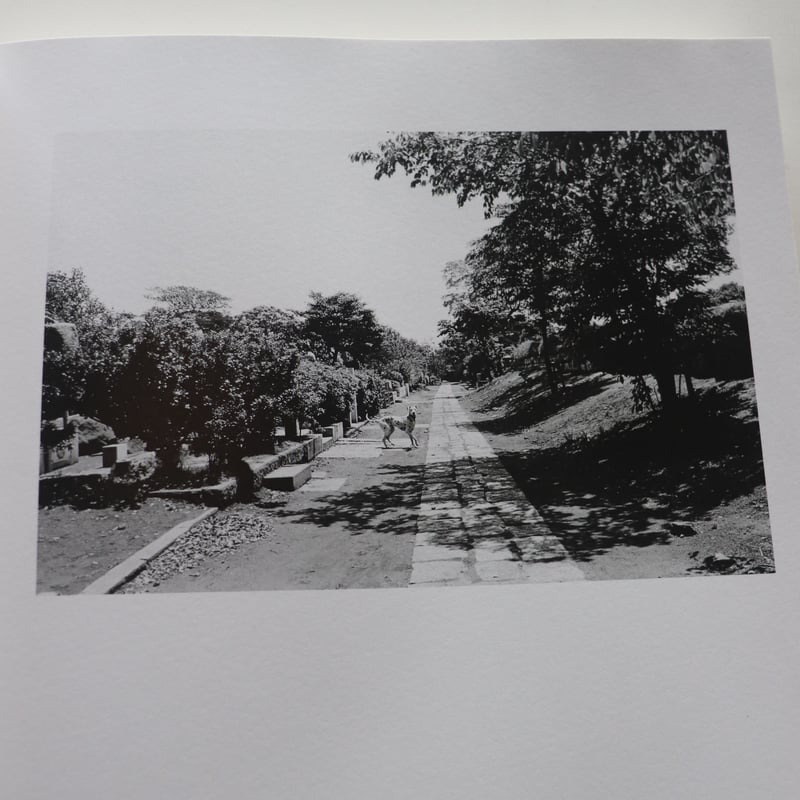 『牛腸茂雄全集』作品編　赤々舎 牛腸茂雄全集 作品編 | 赤々舎 | nostos books ノストスブックス
