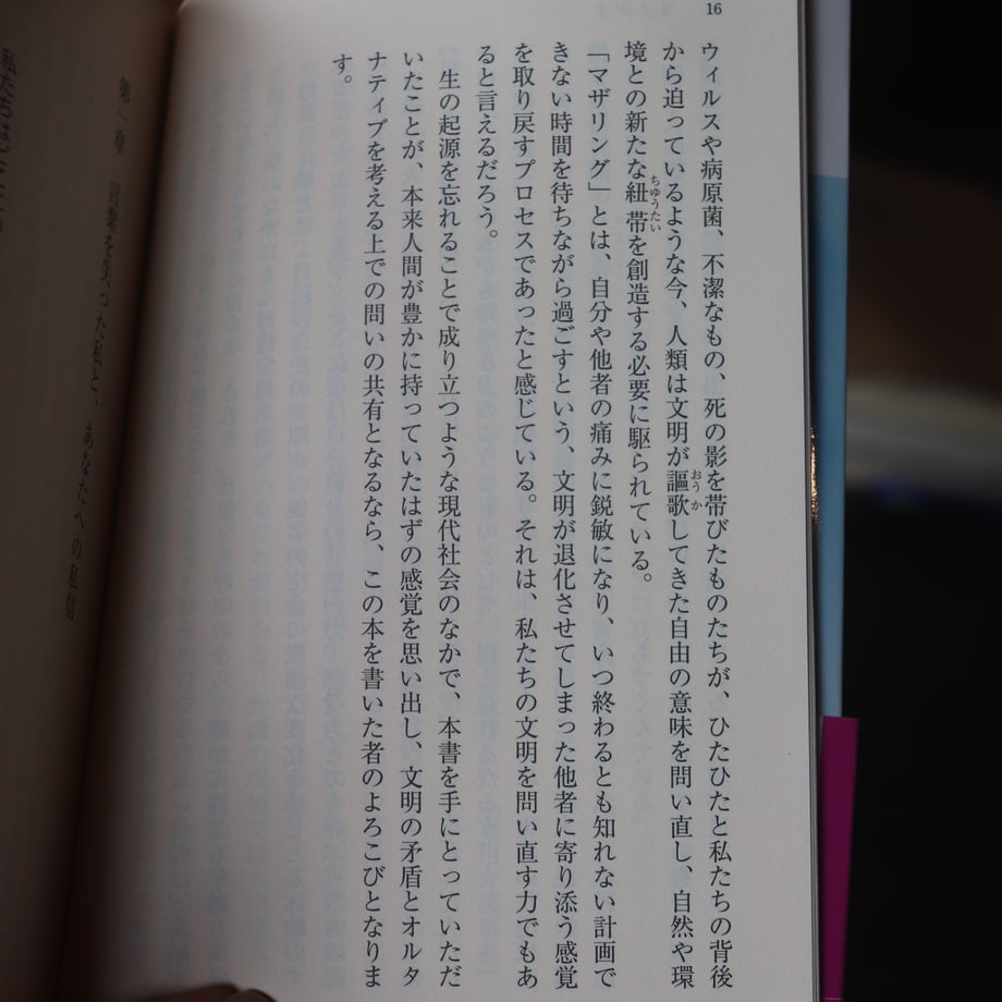 6846628c8116d5aecd3483eb