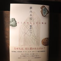 夢みる石 石と人のふしぎな物語 ／ 徳井 いつこ 著