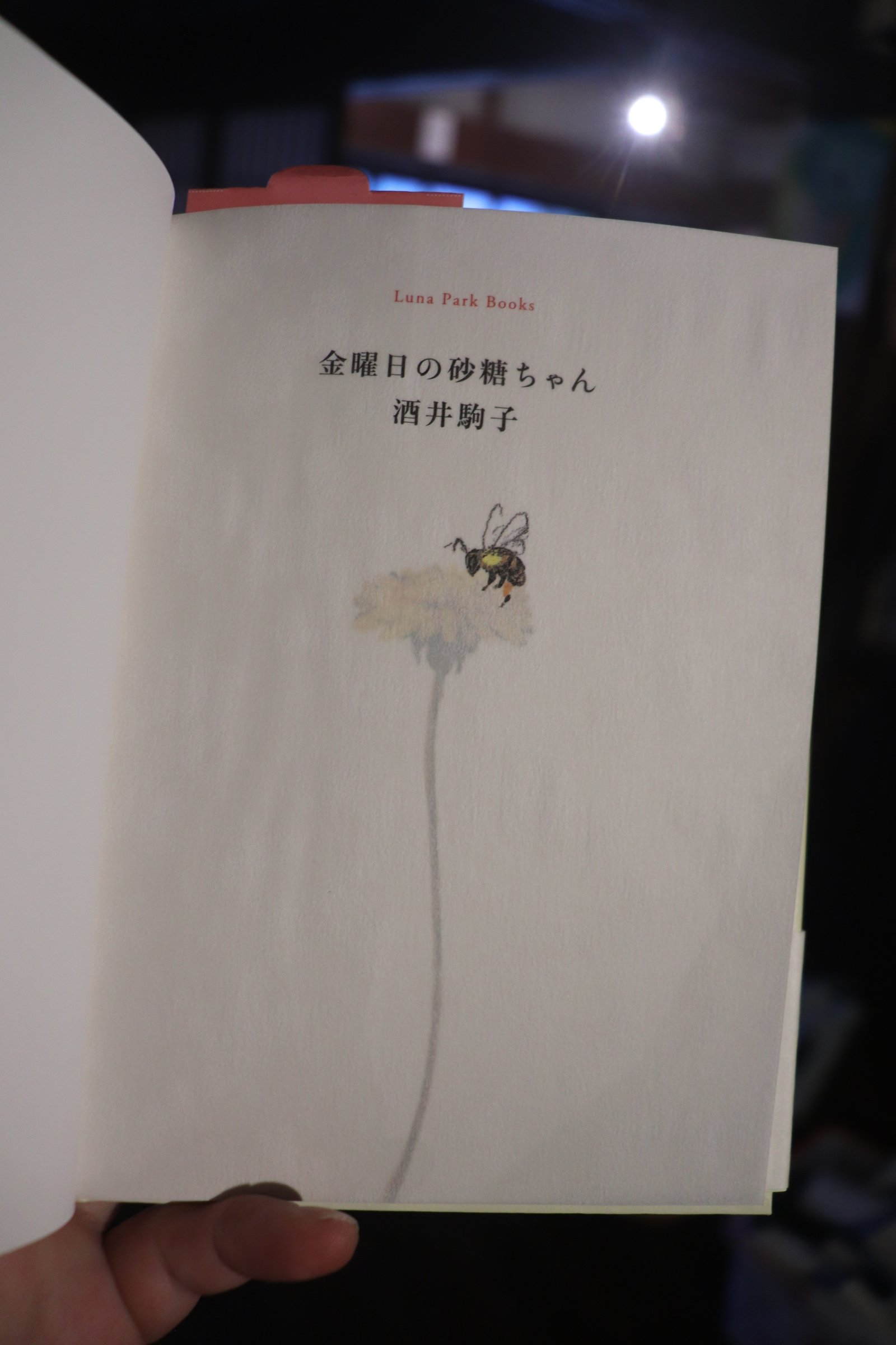 金曜日の砂糖ちゃん (Luna Park Books)／酒井駒子 | 庭文庫 WEBSHOP