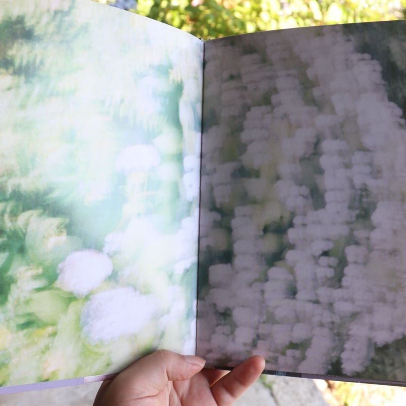 東野翠れん写真集『花、音、光』 | 庭文庫 WEBSHOP