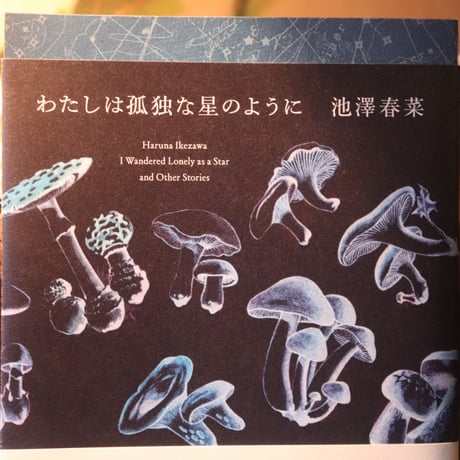 わたしは孤独な星のように／ 池澤 春菜