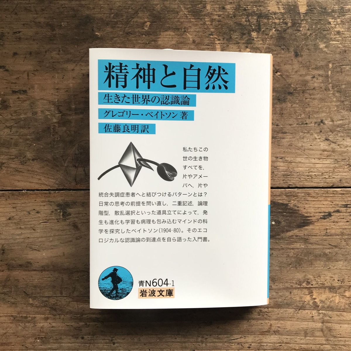 精神と自然 : 生きた世界の認識論 精神と自然 改訂版: 生きた世界の認識論 | グレゴリー