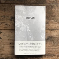 宇宙樹　cosmic tree