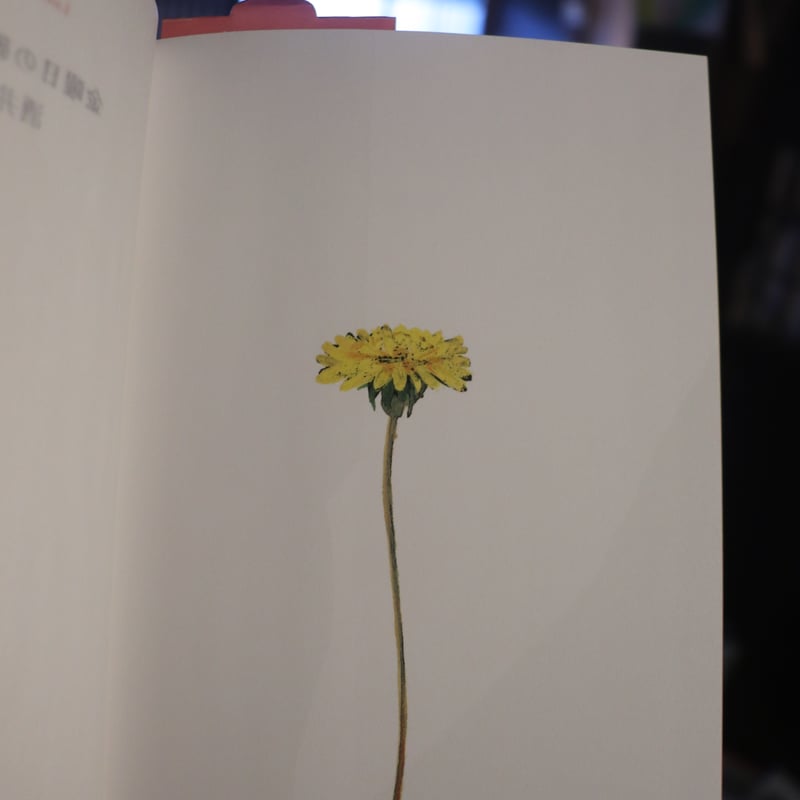 金曜日の砂糖ちゃん (Luna Park Books)／酒井駒子 | 庭文庫 WEBSHOP