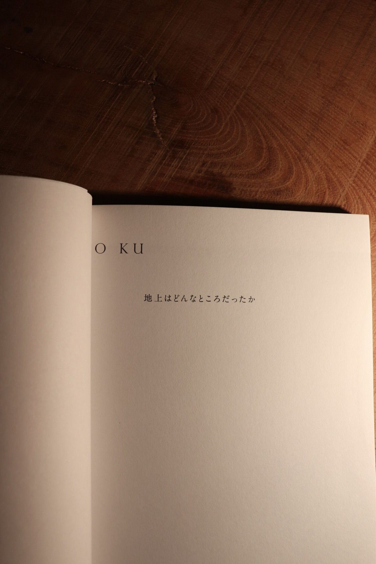 O KU 内藤礼｜地上はどんなところだったか | 庭文庫 WEBSHOP