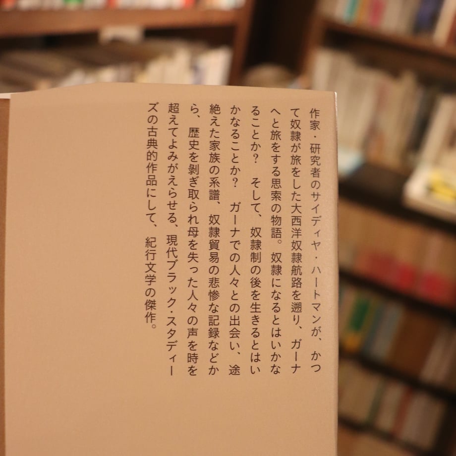 6649812384ab9a099d235676
