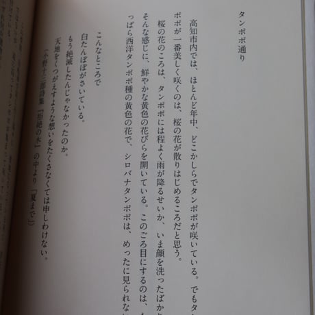 古本屋 タンポポのあけくれ／片岡千歳