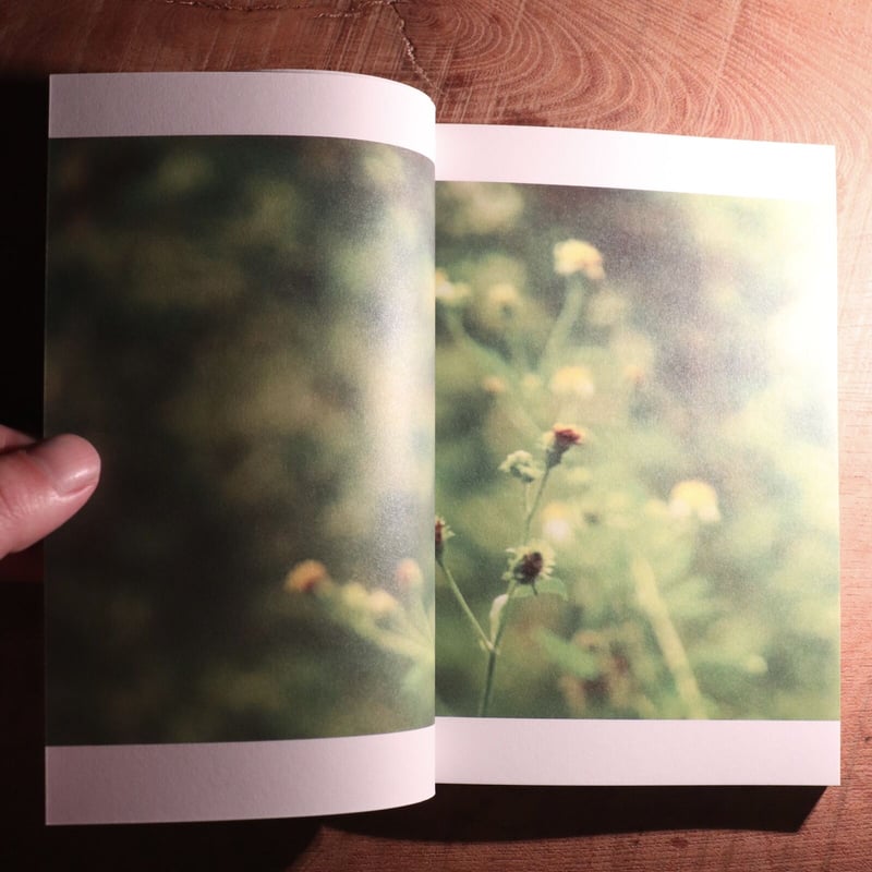 O KU 内藤礼｜地上はどんなところだったか | 庭文庫 WEBSHOP