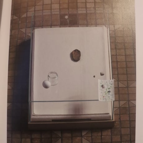内藤礼　生まれておいで 生きておいで