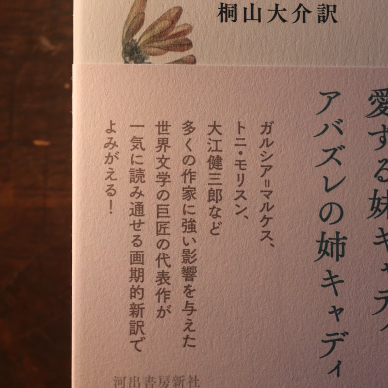 響きと怒り ／ ウィリアム・フォークナー 著 桐山 大介 訳 | 庭文庫