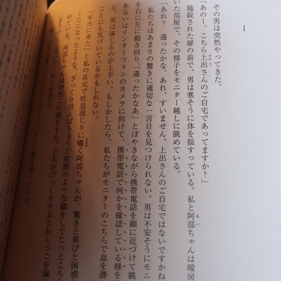 67baa210c56f48069eb3d83f