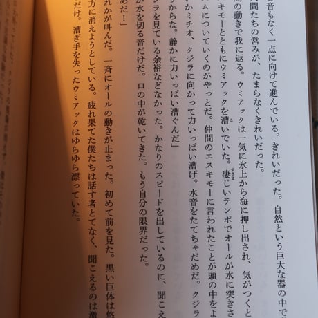 星野道夫 約束の川／星野道夫