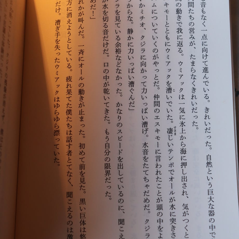 6789fff1b7a32b00e05456d1